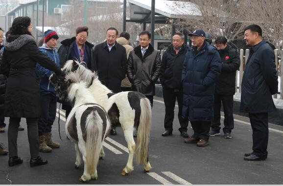 圖片關鍵詞